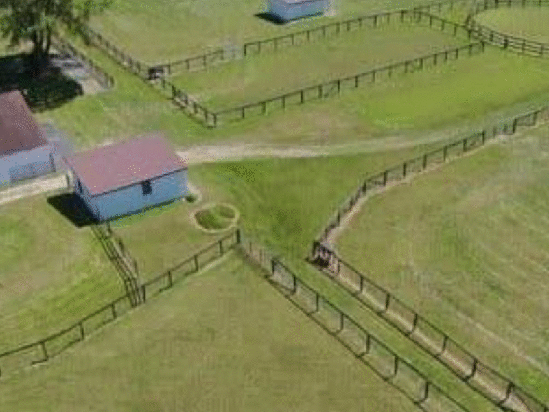 Bella View Farm